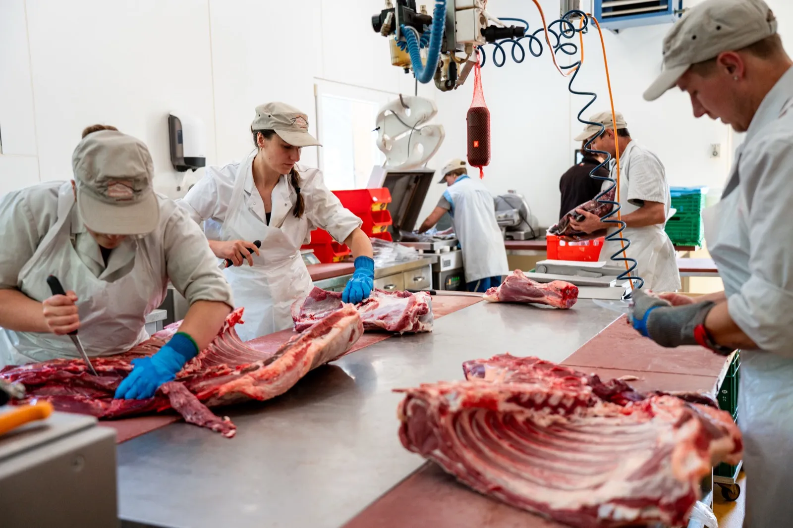 Teamarbeit bei der Verarbeitung